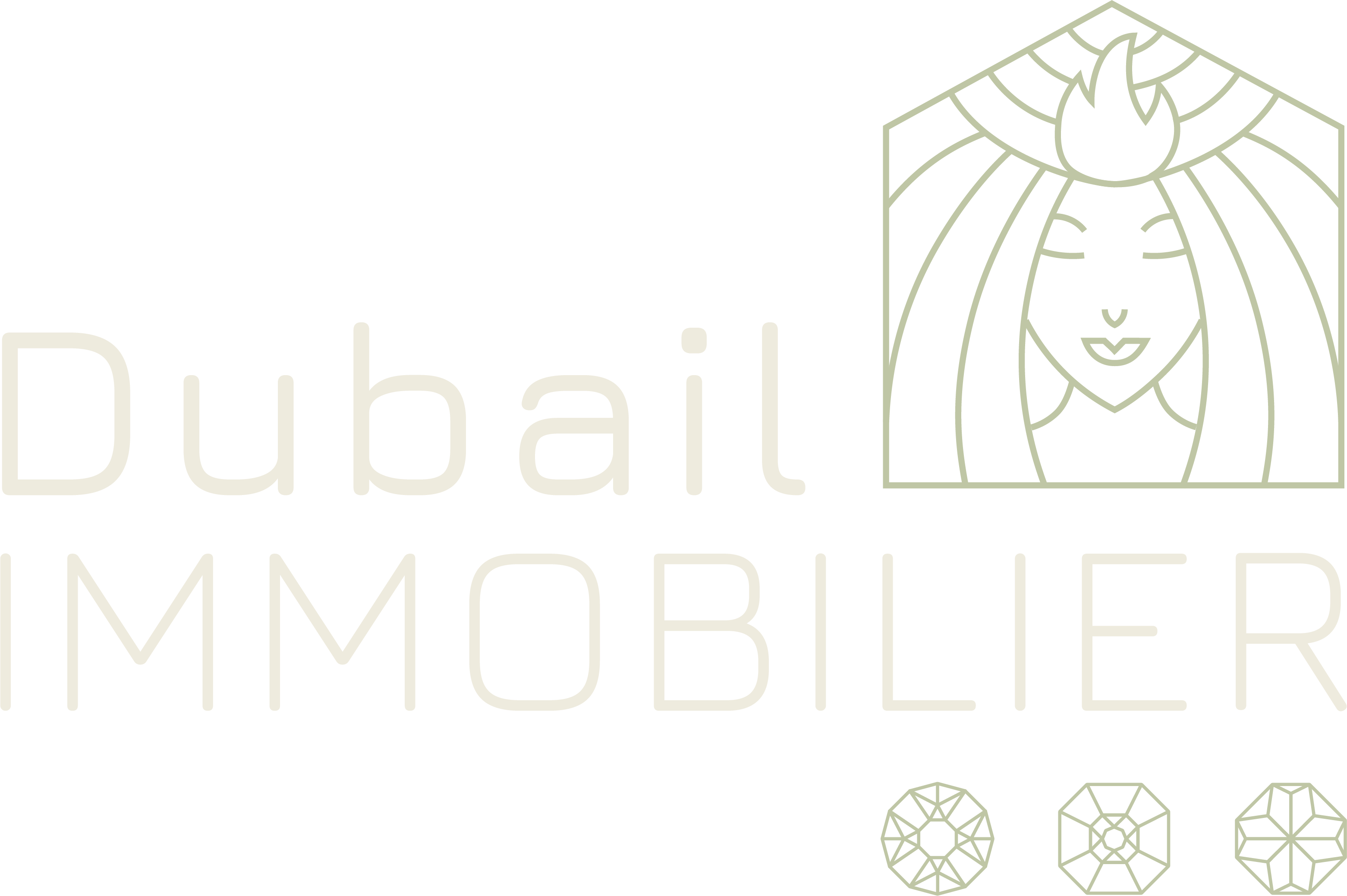 Dubail Immobilier